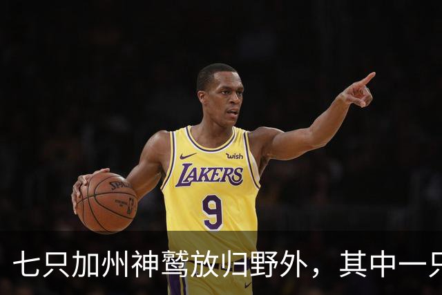 七只加州神鹫放归野外，其中一只是第200只