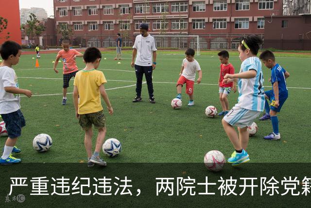严重违纪违法，两院士被开除党籍