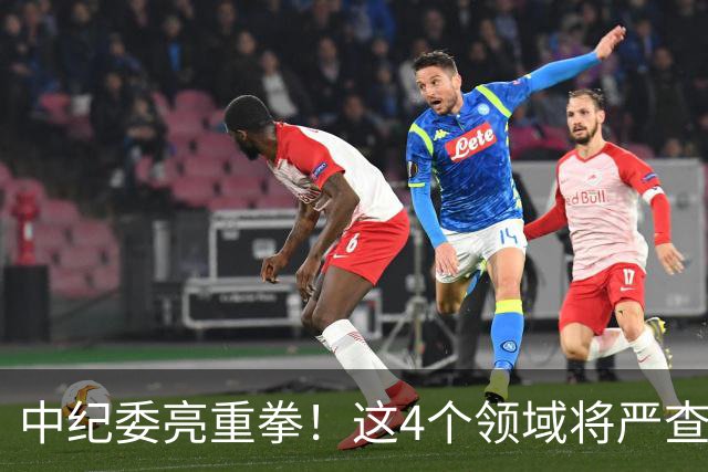 中纪委亮重拳！这4个领域将严查，4种行为将被严肃处理！