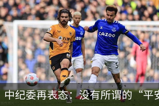 中纪委再表态：没有所谓的“平安着陆”