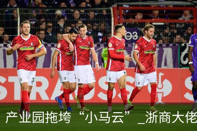 产业园拖垮“小马云” 浙商大佬被立案侦查