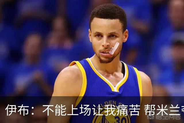 伊布：不能上场让我痛苦 帮米兰夺冠前不会停下