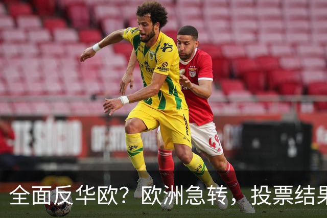 全面反华欧？欧洲急转，投票结果一边倒，欧盟：中国只懂一种语言