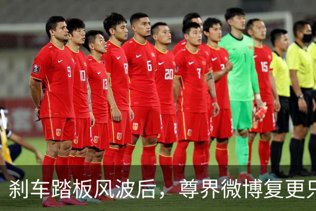 刹车踏板风波后，尊界微博复更只发了组图