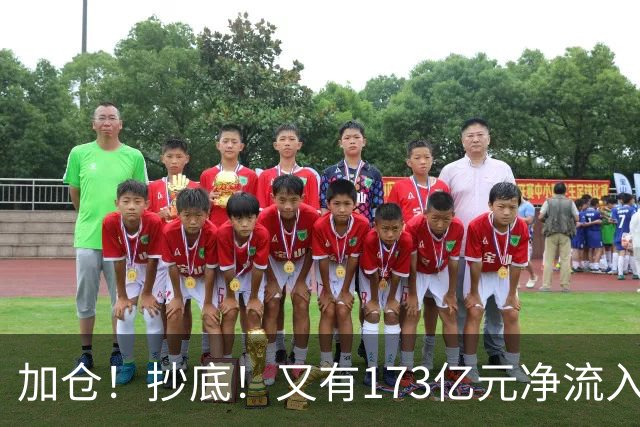 加仓！抄底！又有173亿元净流入