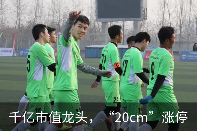 千亿市值龙头，“20cm”涨停