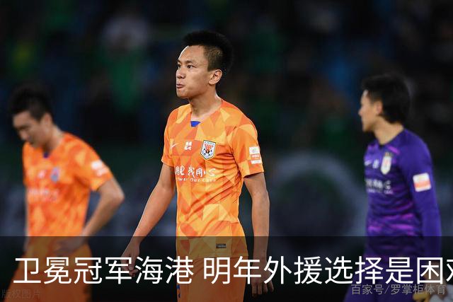 卫冕冠军海港 明年外援选择是困难题 安佩姆近7场7球 梅伦多场场首发