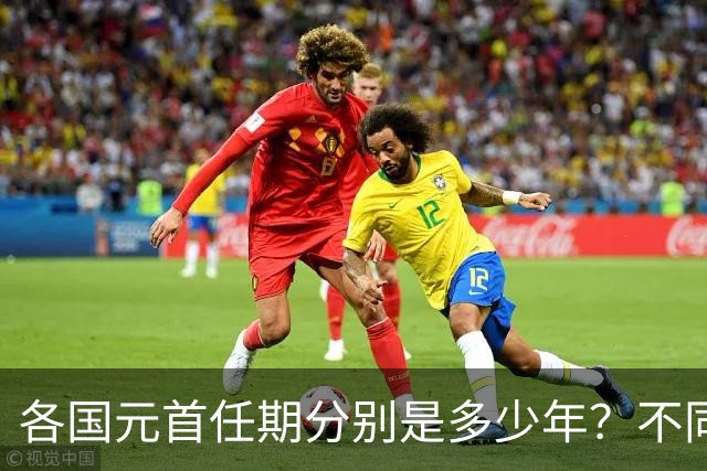 各国元首任期分别是多少年？不同国家的任期规定有何不同？一篇文章看懂各国任期区别