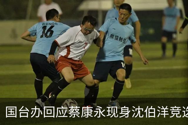 国台办回应蔡康永现身沈伯洋竞选活动