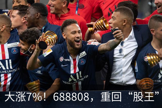 大涨7%！688808，重回“股王”