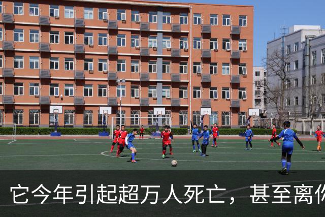 它今年引起超万人死亡，甚至离你我也只有一步之遥？