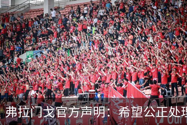 弗拉门戈官方声明：希望公正处理拉普拉塔大学生违规启用罗霍一事