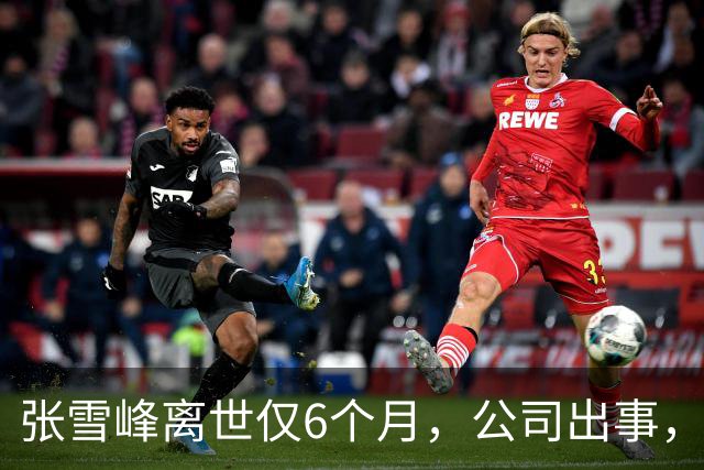 张雪峰离世仅6个月，公司出事，武亮"转移财产"或只是冰山一角！