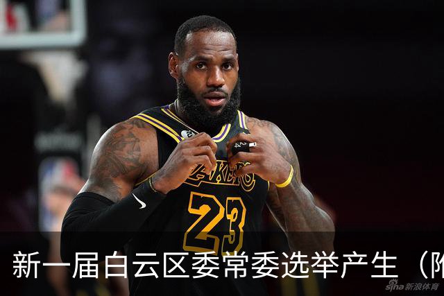 新一届白云区委常委选举产生（附简历）