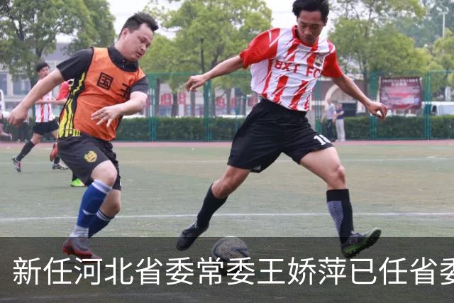 新任河北省委常委王娇萍已任省委统战部部长