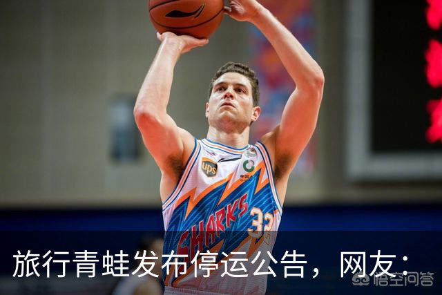 旅行青蛙发布停运公告，网友：“蛙”的一声哭出来