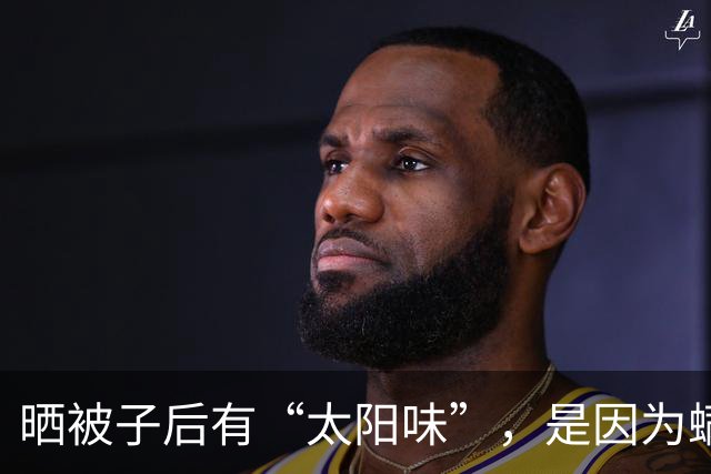 晒被子后有“太阳味”，是因为螨虫被烤焦了？科学家：太阳的功劳