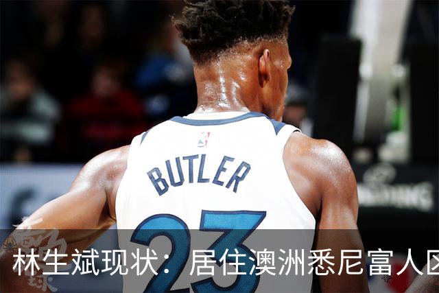 林生斌现状：居住澳洲悉尼富人区，儿女双全，现任是前公司员工