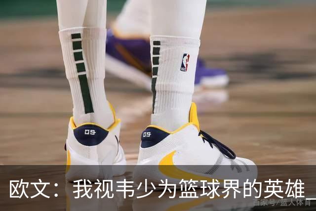 欧文：我视韦少为篮球界的英雄 他在湖人遭遇不公