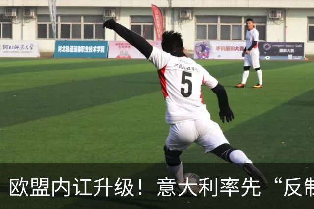 欧盟内讧升级！意大利率先“反制”，冯德莱恩干预欧盟外交 ！