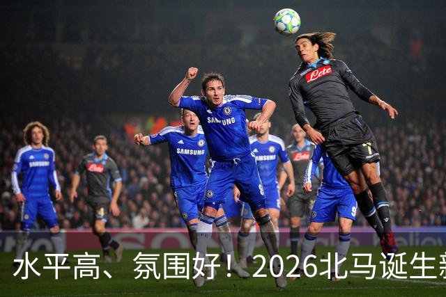水平高、氛围好！2026北马诞生新纪录，赛事组织获选手认可