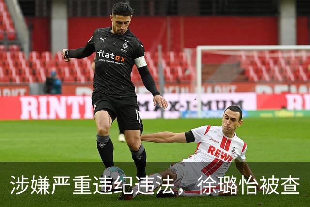 涉嫌严重违纪违法，徐璐怡被查