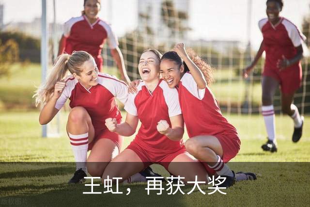 王虹，再获大奖