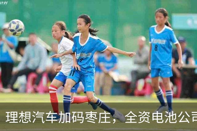 理想汽车加码枣庄，全资电池公司落地！“自研+代工”争夺电池定义权？