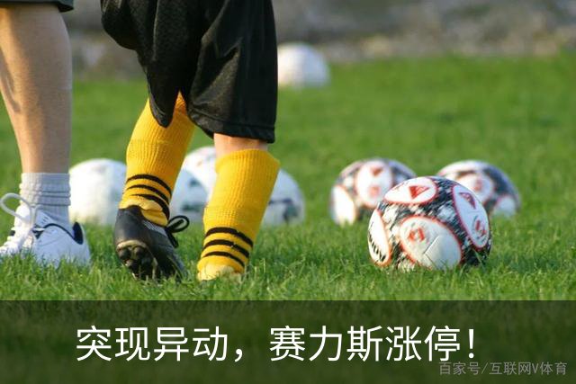 突现异动，赛力斯涨停！