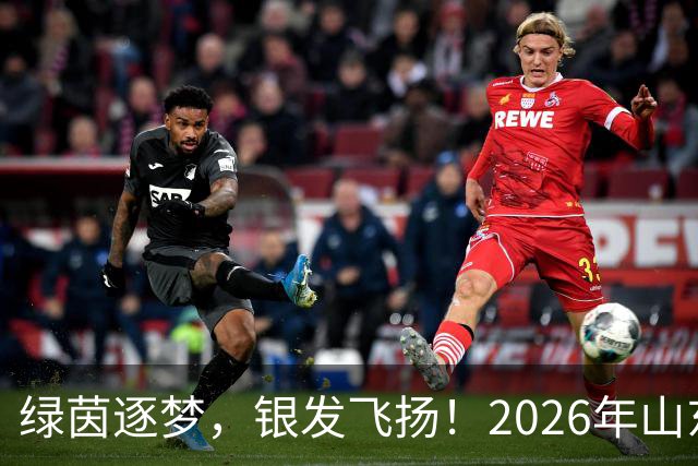 绿茵逐梦，银发飞扬！2026年山东省老年人足球比赛在济南开赛
