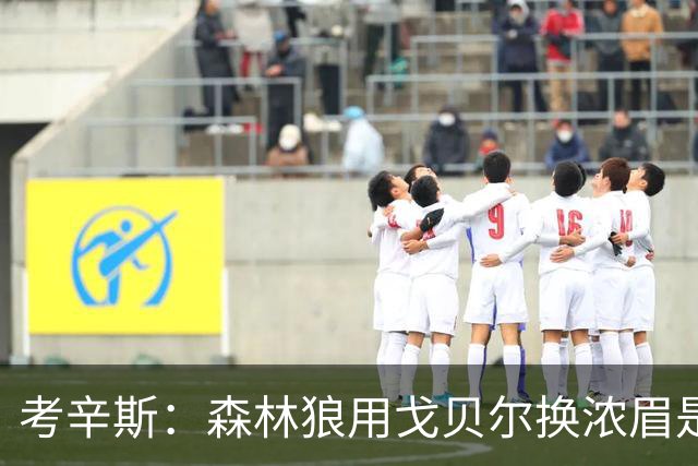 考辛斯：森林狼用戈贝尔换浓眉是双赢 奇才也能借此扶正迪班萨