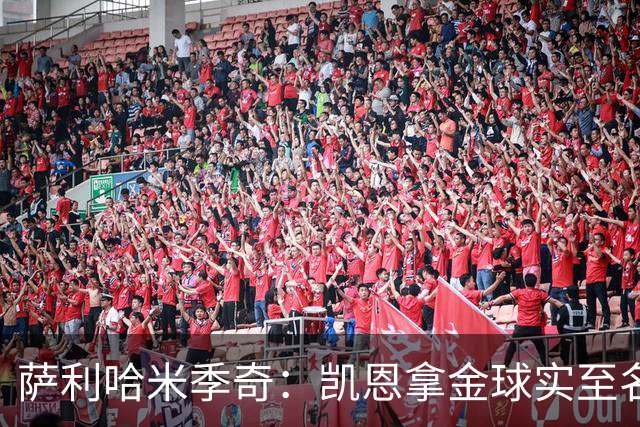 萨利哈米季奇：凯恩拿金球实至名归，盼他带欧冠回慕尼黑