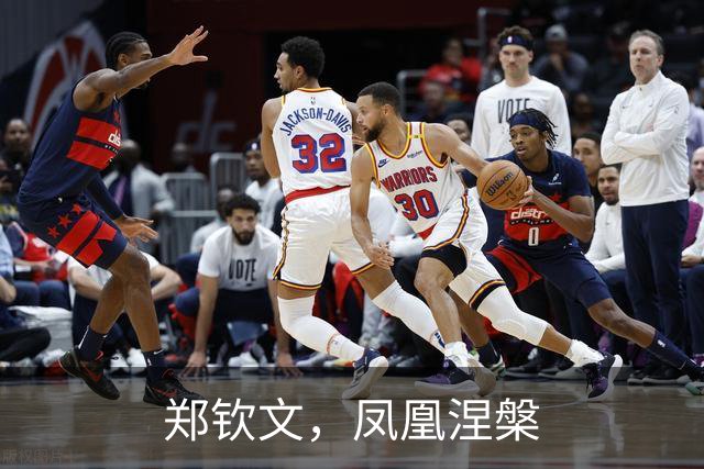 郑钦文，凤凰涅槃