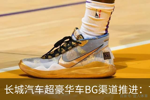 长城汽车超豪华车BG渠道推进：首批三店设计招标启动 两款车型同步筹划出海