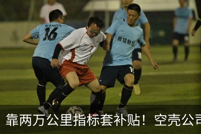 靠两万公里指标套补贴！空壳公司卷走三个亿，全甩给底层买单