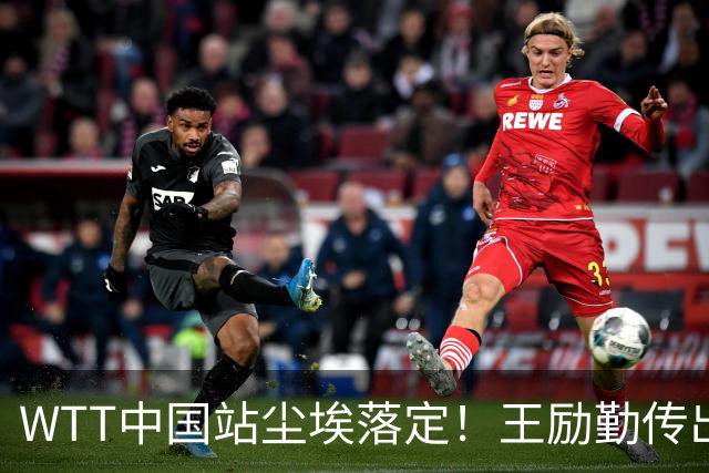 WTT中国站尘埃落定！王励勤传出重要信号，樊振东有望重返赛场